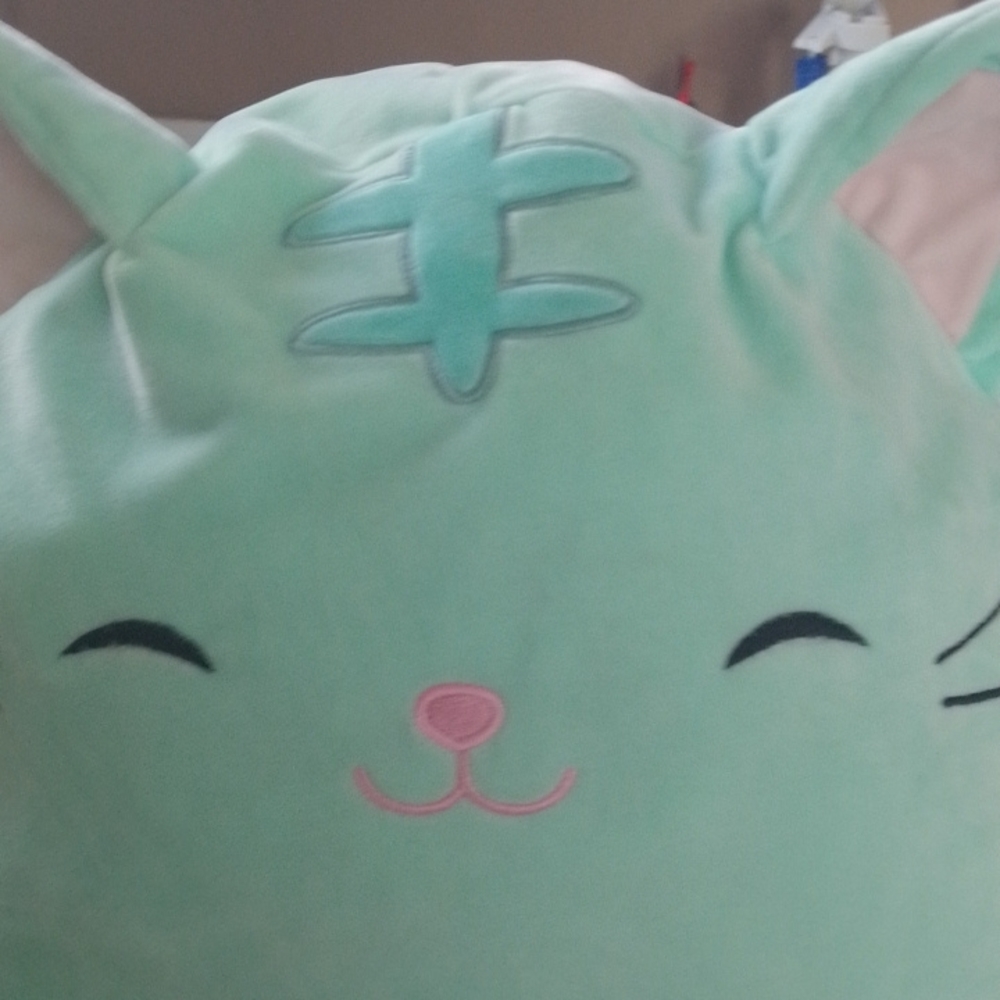 ๐๐๐ SQUISHMALLOWS - Picture 3 of 8